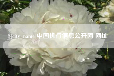 东方中国执行信息公开网 网址