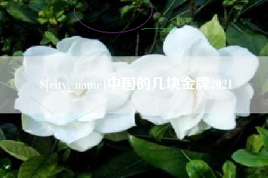 东方中国的几块金牌2021