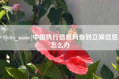 东方中国执行信息网查到立案信息怎么办