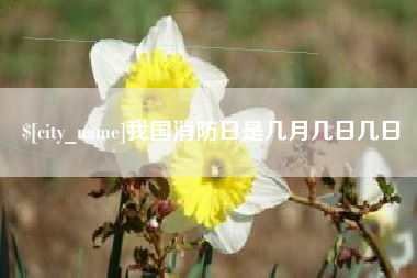 东方我国消防日是几月几日几日