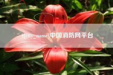 东方中国消防网平台