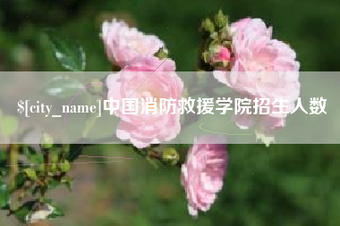 东方中国消防救援学院招生人数