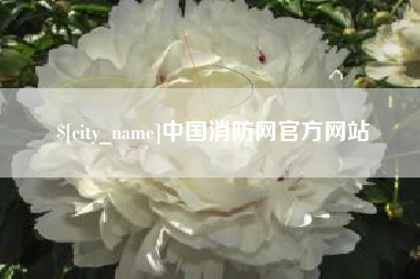 东方中国消防网官方网站