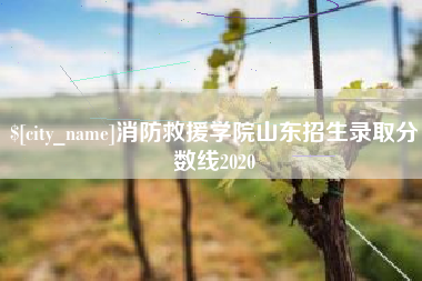东方消防救援学院山东招生录取分数线2020