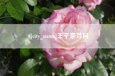 东方王子豪百科