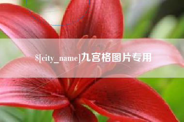 东方九宫格图片专用