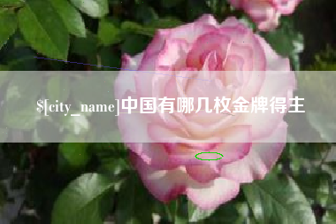 东方中国有哪几枚金牌得主