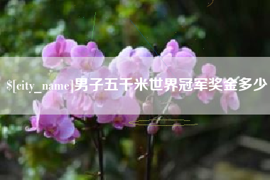 东方男子五千米世界冠军奖金多少