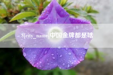 东方中国金牌都是啥
