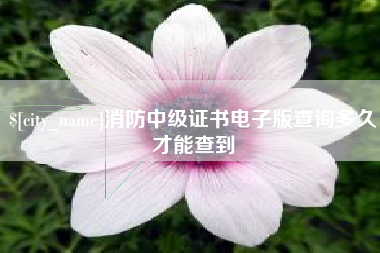 东方消防中级证书电子版查询多久才能查到