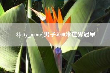 东方男子5000米世界冠军