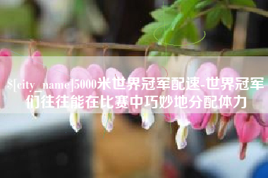 东方5000米世界冠军配速-世界冠军们往往能在比赛中巧妙地分配体力