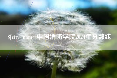 东方中国消防学院2024年分数线