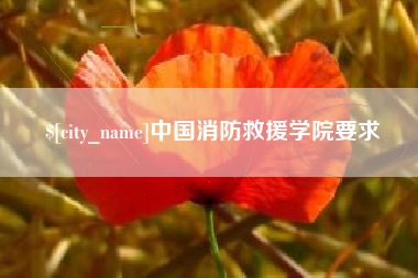 东方中国消防救援学院要求