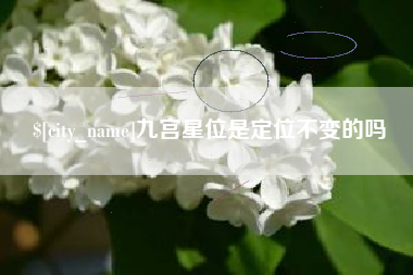 东方九宫星位是定位不变的吗