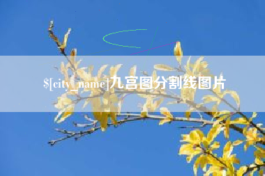 东方九宫图分割线图片