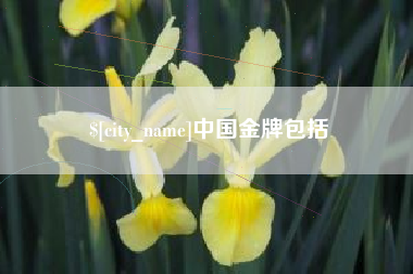 东方中国金牌包括