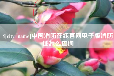 东方中国消防在线官网电子版消防证怎么查询