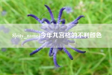 东方今年九宫格的不利颜色
