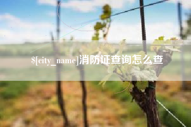 东方消防证查询怎么查