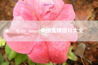 东方中国金牌图片大全