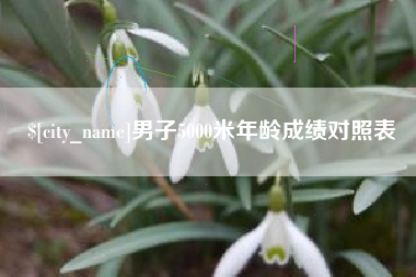 东方男子5000米年龄成绩对照表