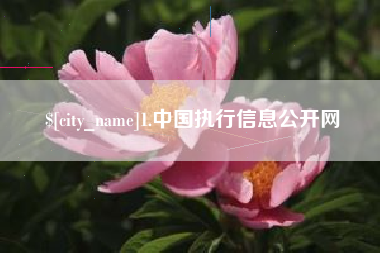 东方1.中国执行信息公开网