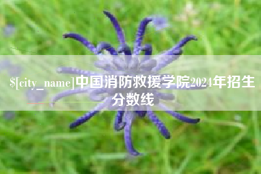 东方中国消防救援学院2024年招生分数线