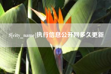 东方执行信息公开网多久更新