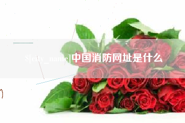 东方中国消防网址是什么