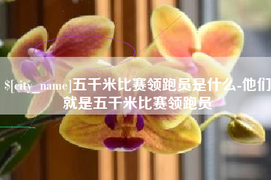 东方五千米比赛领跑员是什么-他们就是五千米比赛领跑员