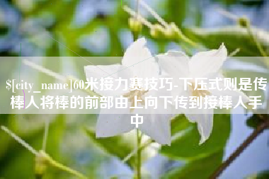 东方60米接力赛技巧-下压式则是传棒人将棒的前部由上向下传到接棒人手中