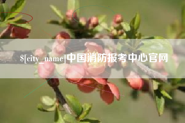 东方中国消防报考中心官网