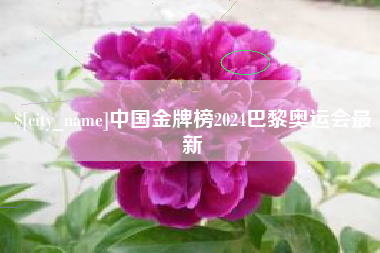 东方中国金牌榜2024巴黎奥运会最新