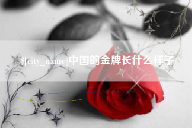 东方中国的金牌长什么样子