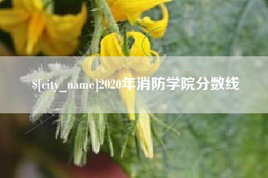 东方2020年消防学院分数线