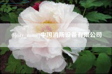 东方中国消防设备有限公司