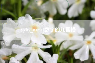东方数字的九宫格