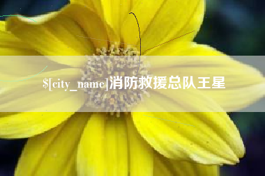 东方消防救援总队王星