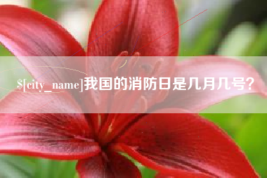 东方我国的消防日是几月几号？