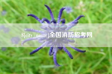 东方全国消防招考网