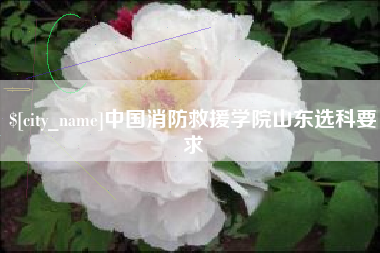 东方中国消防救援学院山东选科要求