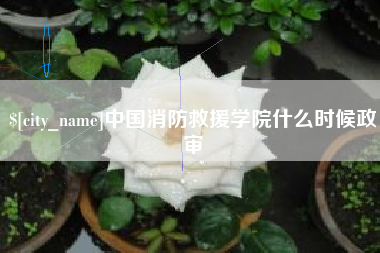 东方中国消防救援学院什么时候政审