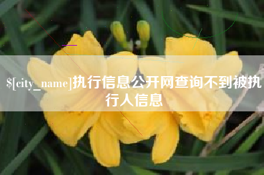 东方执行信息公开网查询不到被执行人信息