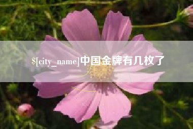 东方中国金牌有几枚了