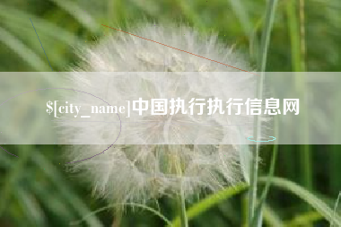 东方中国执行执行信息网