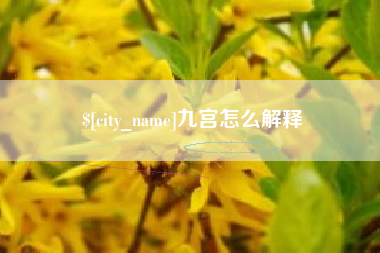 东方九宫怎么解释