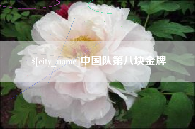 东方中国队第八块金牌