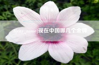 东方现在中国哪几个金牌