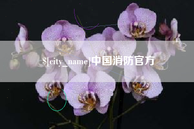 东方中国消防官方